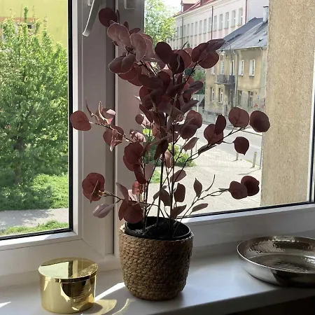 アパート Premium Na Wzgorzu Czwartek ルブリン